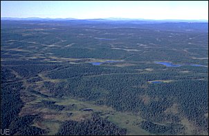 Die Waldtundra der zentralen Kola-Halbinsel