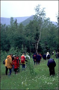 Im "Polar Alpine Botanical Garden"